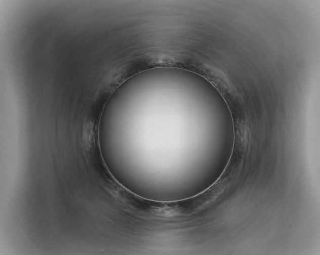 X0000113100511200908281350