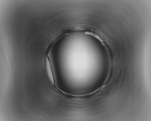 X0000113100512200908281350