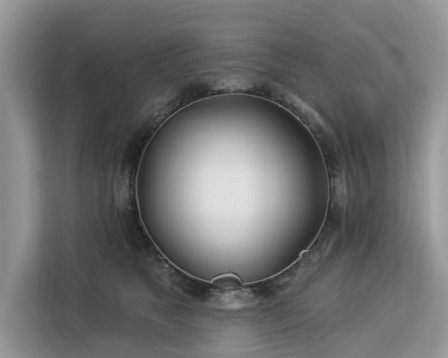X0000113100517200908281350