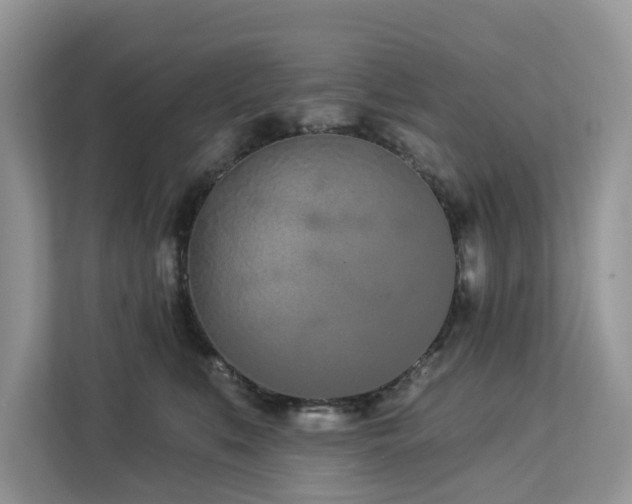 X0000113100519200908281350
