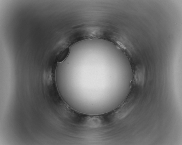 X0000113100520200908281350