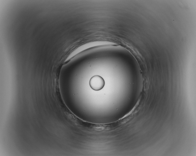 X0000113100521200908281350