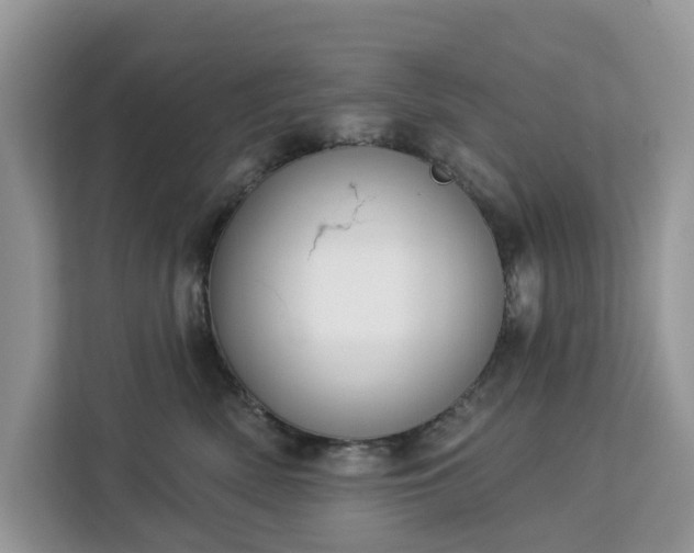 X0000113100522200908281350