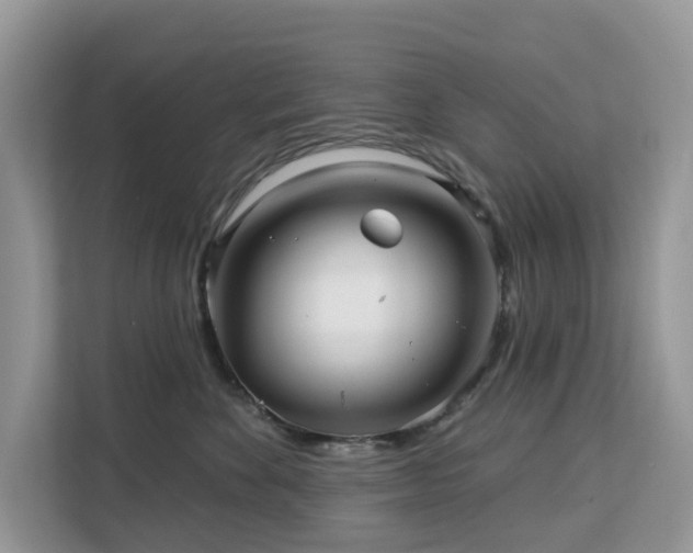 X0000113100524200908281350