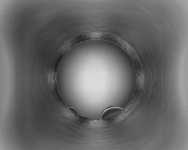 X0000113100525200908281350