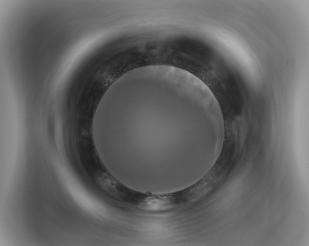 X0000113100526200908281350
