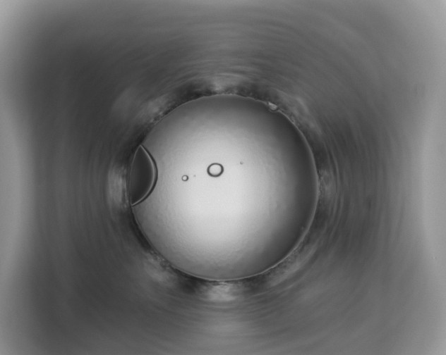 X0000113100527200908281350