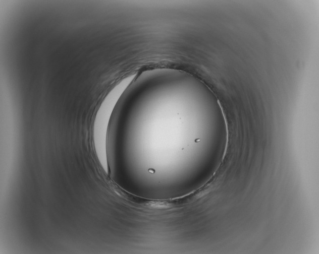 X0000113100528200908281350