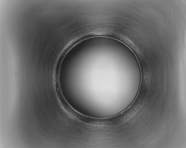 X0000113100530200908281350