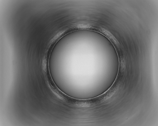 X0000113100533200908281350
