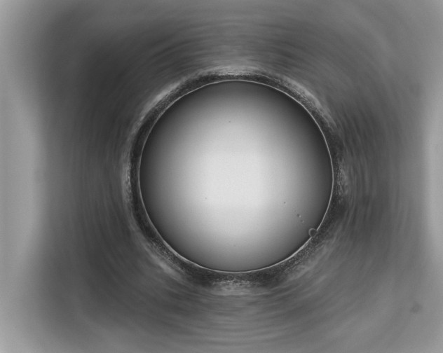 X0000113100535200908281350