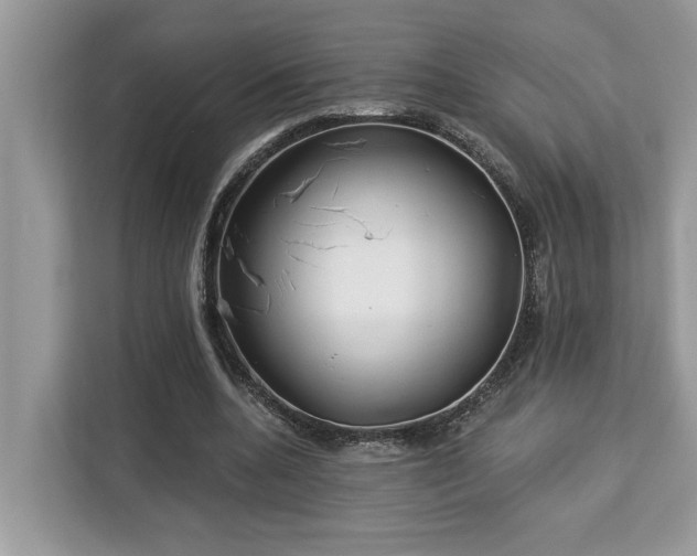 X0000113100536200908281350
