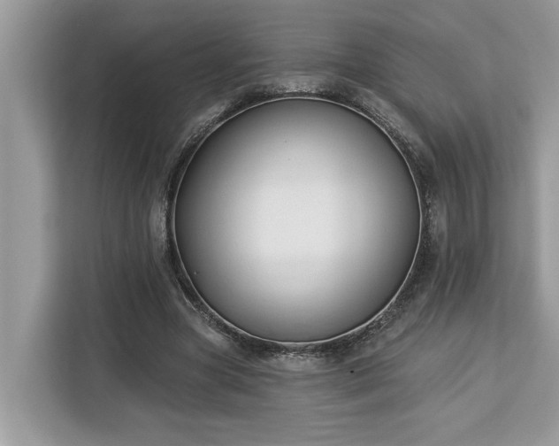 X0000113100537200908281350