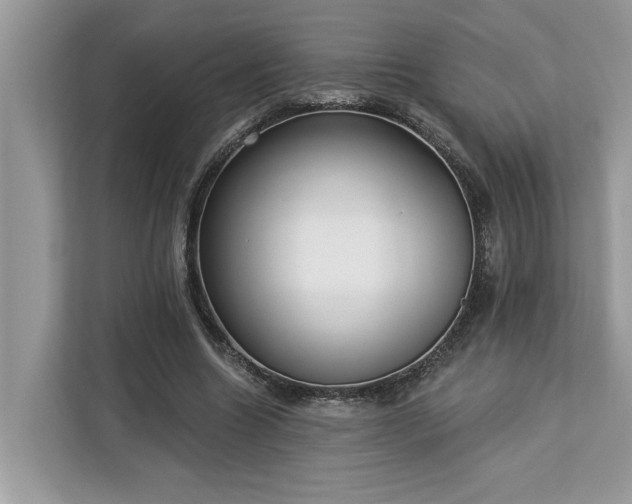 X0000113100538200908281350