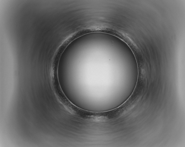 X0000113100539200908281350