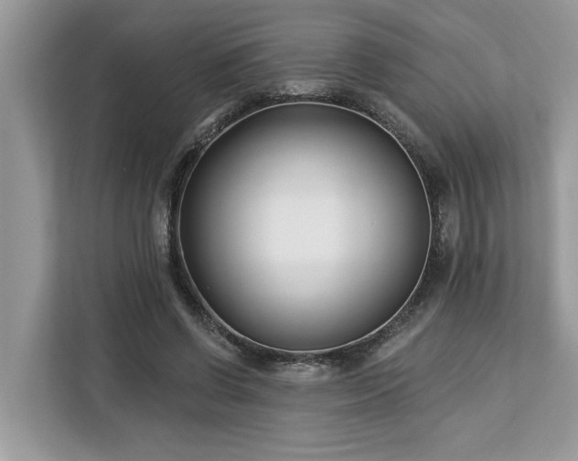 X0000113100542200908281350