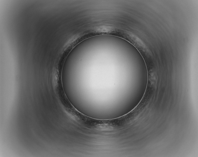 X0000113100544200908281350