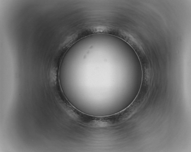 X0000113100545200908281350