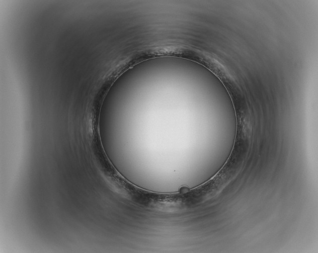 X0000113100546200908281350