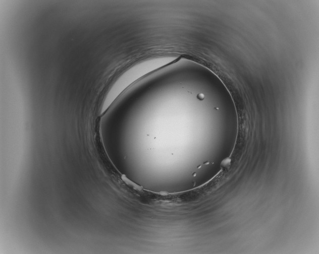 X0000113100548200908281350