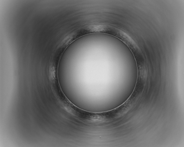 X0000113100549200908281350