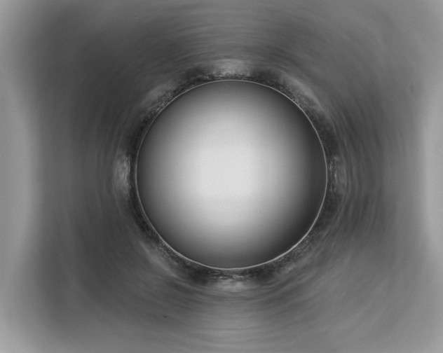 X0000113100550200908281350