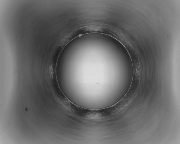 X0000113100551200908281350