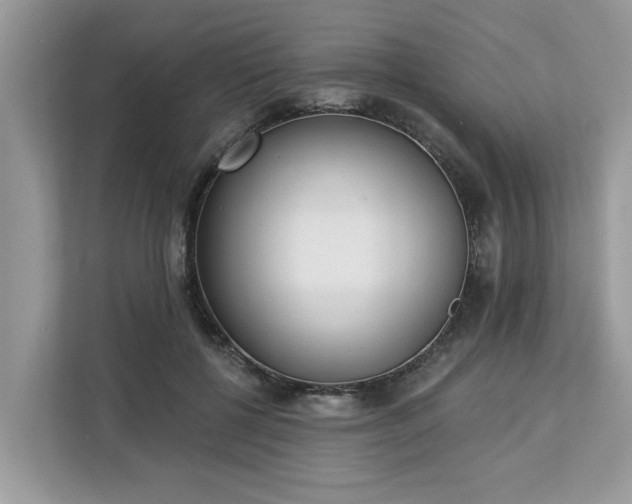X0000113100552200908281350
