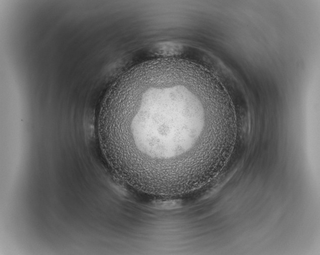 X0000113100553200908281350