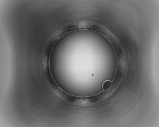X0000113100554200908281350