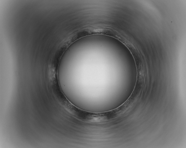 X0000113100555200908281350