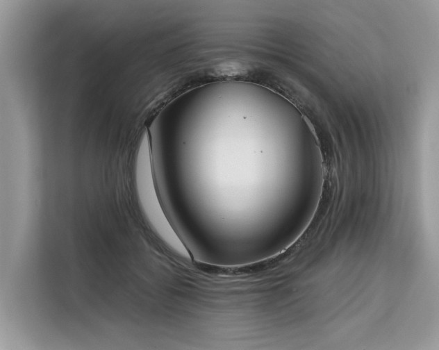 X0000113100556200908281350