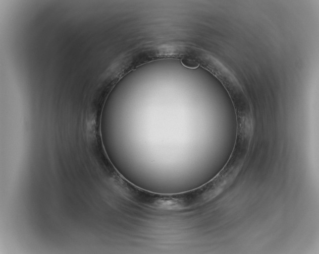 X0000113100557200908281350