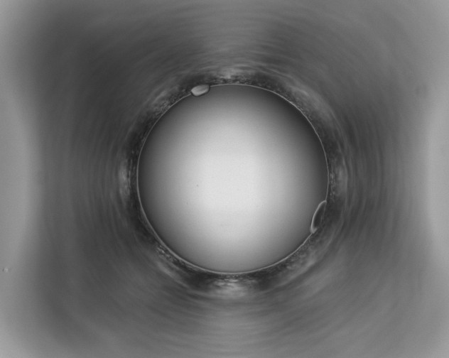X0000113100558200908281350