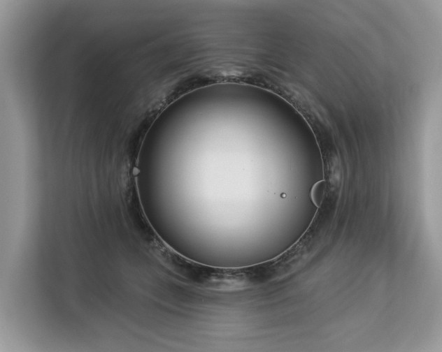 X0000113100559200908281350