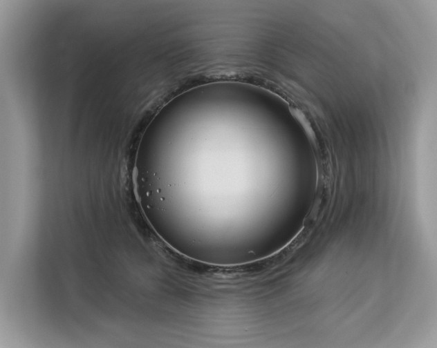 X0000113100560200908281350