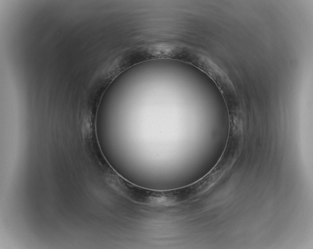 X0000113100561200908281350
