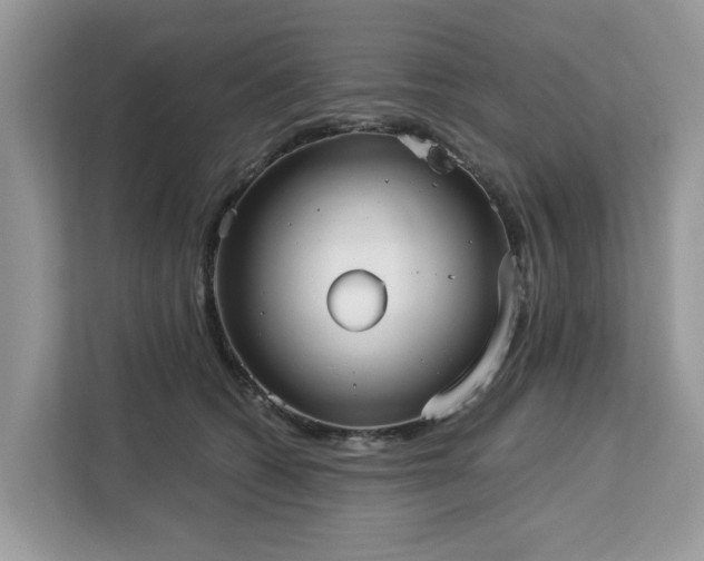 X0000113100562200908281350