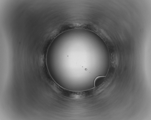 X0000113100563200908281350