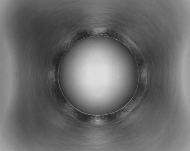 X0000113100565200908281350
