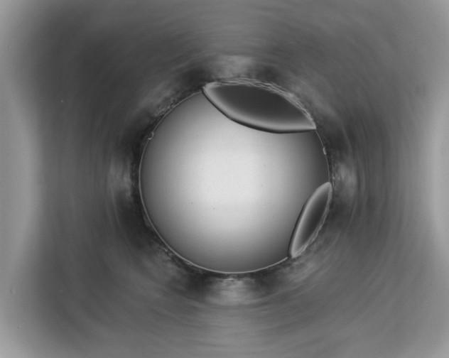 X0000113100566200908281350