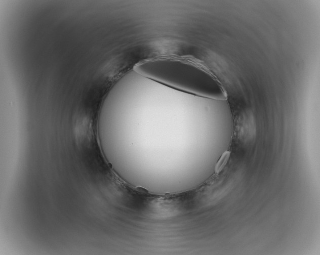 X0000113100568200908281350