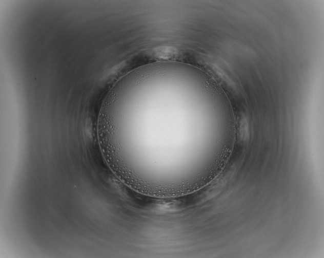 X0000113100569200908281350