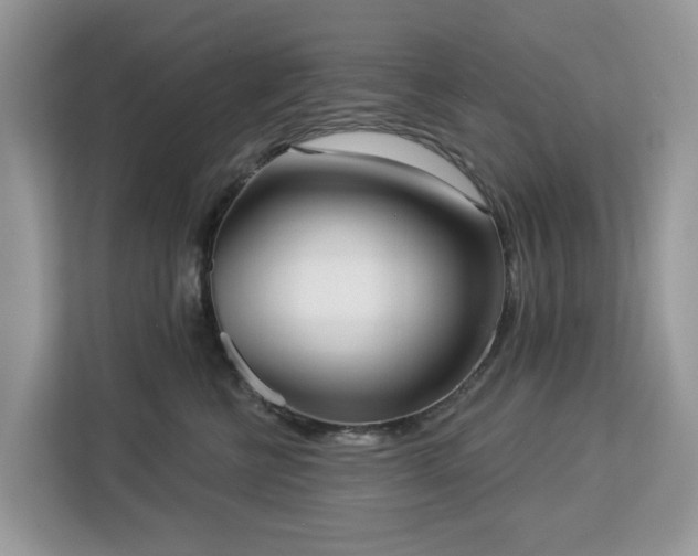 X0000113100570200908281350