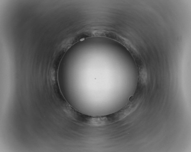 X0000113100571200908281350