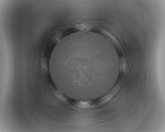 X0000113100573200908281350
