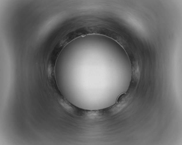 X0000113100574200908281350