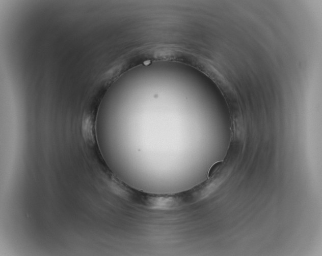 X0000113100575200908281350