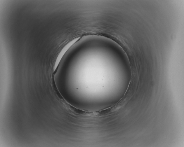 X0000113100576200908281350