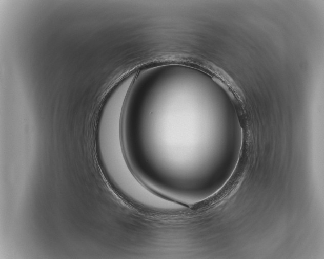 X0000113100577200908281350